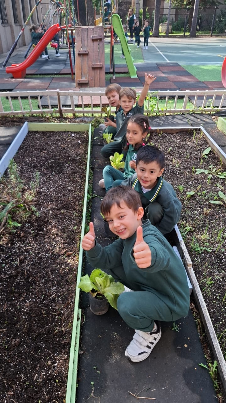 Escuela verde 2