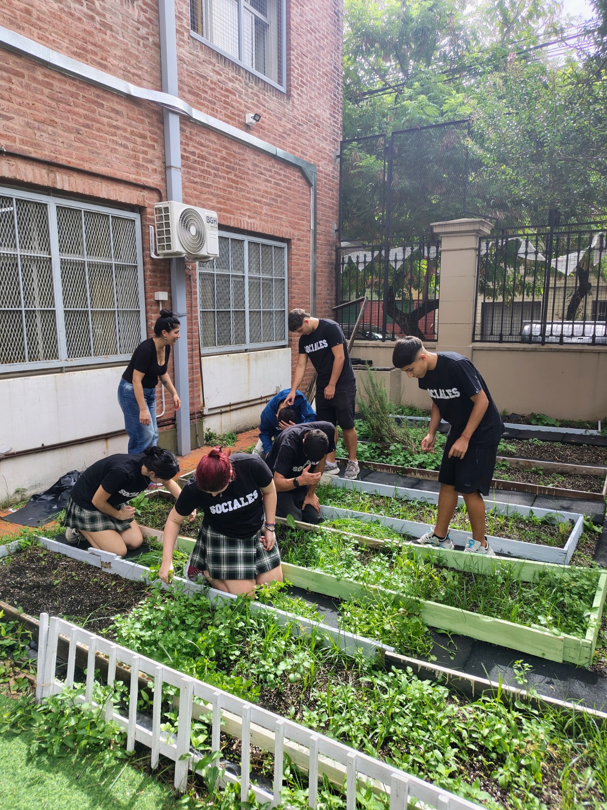 Escuela verde 3